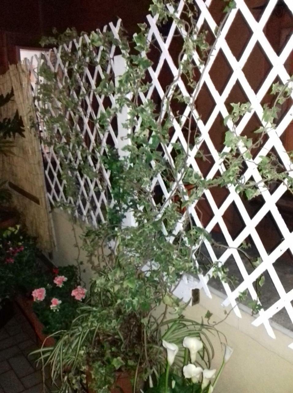 那不勒斯La Terrazza Di Dante住宿加早餐旅馆 外观 照片